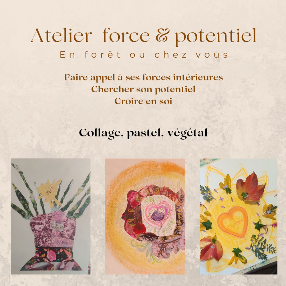 atelier force